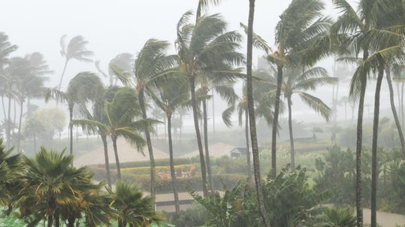 Primul uragan din Atlantic în acest sezon se intensifică rapid, spun specialiștii / De categoria 4, Erin are rafale de 233 km pe oră și va lovi Bahamas, Bermuda și coasta de est a SUA