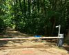 EXCLUSIV Directorul general al Romsilva Jean Vișan, după ce Greenfield a refuzat să închidă accesul pe drumul forestier de la 3 iunie, data la care regia consideră contractul de peaj încetat: „Aștept să vină colegii mei din teren” / Bariera funcționa în continuare | Imagini video surprind circulația pe drumul forestier din Pădurea Băneasa