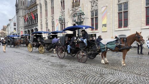 Încercați o cutie de ciocolată belgiană: Orașul Bruges le cere turiştilor să nu mai fure piatra de pavaj de pe străzile sale medievale recunoscute de UNESCO