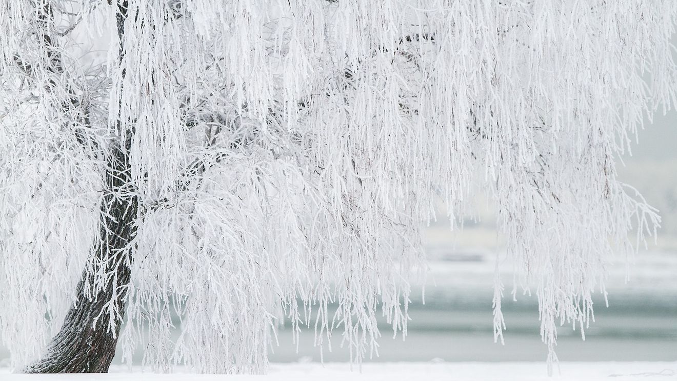 METEO: Frig, polei, ninsori şi intensificări ale vântului, până marţi / Sâmbătă este cod galben de ninsori viscolite în Moldova, Muntenia şi Dobrogea