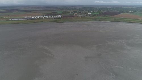 VIDEO Ornitologii trag un semnal de alarmă: Catastrofă ecologică/ Lacul Iezer a secat în mai puțin de trei luni / 32 de specii protejate în Europa cuibăresc, au cartier de iernare sau se odihnesc în timpul migraţiei în lacul Iezer