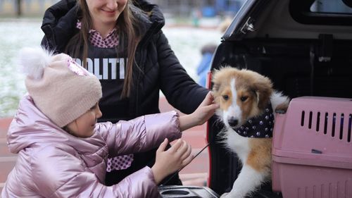 Ziua Porţilor Deschise pentru Copii la Ministerul Afacerilor Interne: Demonstraţii de dresaj canin, exerciţii de autoapărare, lecţii de acordare a primului ajutor și ateliere de alpinism