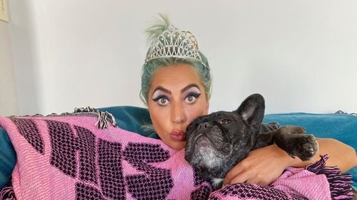 Cine sunt cele cinci persoane arestate în legătură cu răpirea câinilor cântăreţei Lady Gaga
