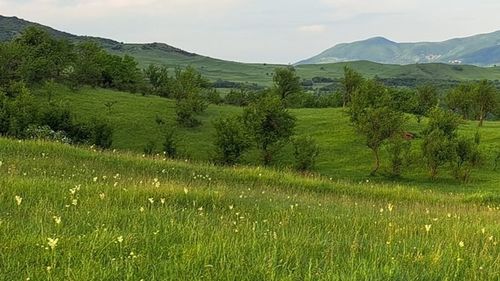 Într-un sat din Prahova, metrul pătrat de teren se vinde cu un leu / Nu a mai rămas aici niciun locuitor / Nu este curent electric, apă curentă și nici rețea de gaz
