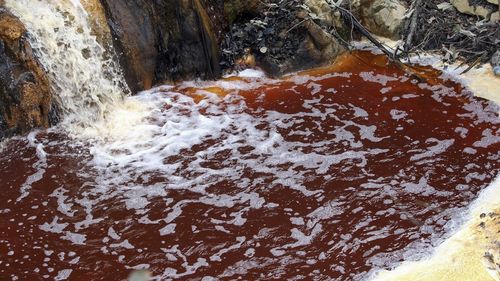 Activiștii Declic, petiție prin care solicită autorităților să respingă reînnoirea licențelor miniere pentru Roșia Montană și Certej