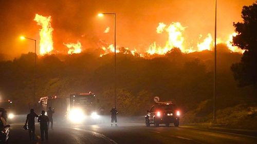 Peste 50 de incendii de pădure produse de vânt şi caniculă au avut loc sâmbătă în Grecia / Sute de pompieri au fost mobilizați
