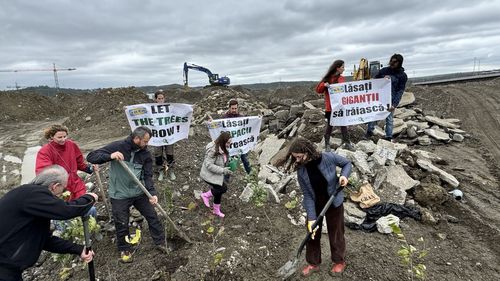Protest pe șantierul IKEA din Iași / ”IKEA și furnizorii săi distrug ultimele oaze cu biodiversitate din România” / ”Compania nu ține cont nici de legile scrise, nici de căile nescrise ale naturii”