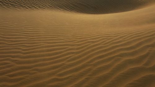 Oamenii de ştiinţă au dezvăluit misterele unei dune stelare gigantice şi în mişcare din Maroc: "Una dintre minunile naturale ale lumii"