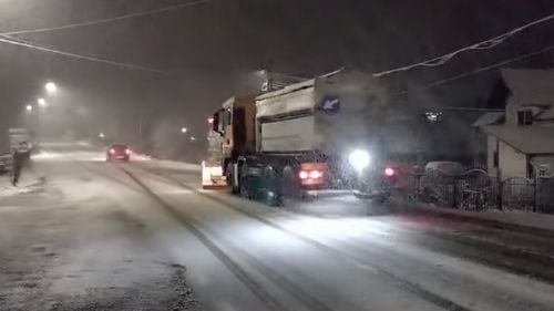 Copac căzut în Pasul Gutâi din Maramureş / Circulaţia este oprită / Polei în Harghita, ninge în Alba, Bistriţa-Năsăud şi Maramureş