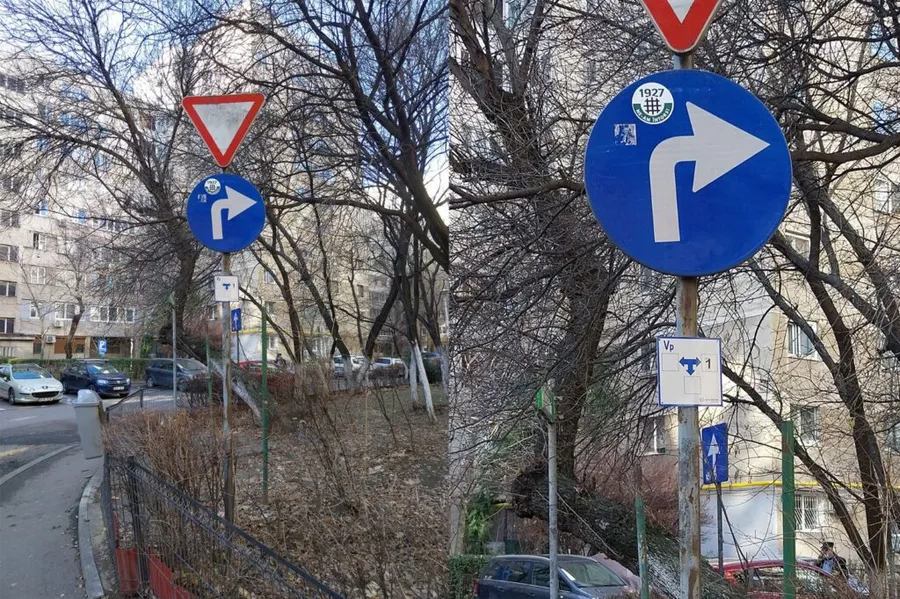 Simbol al Gărzii de fier / februarie 2025