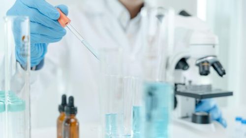 Secvențierea genomului complet a șase specii de maimuțe pe cale de dispariție, o oportunitate vitală pentru conservarea lor (studiu)