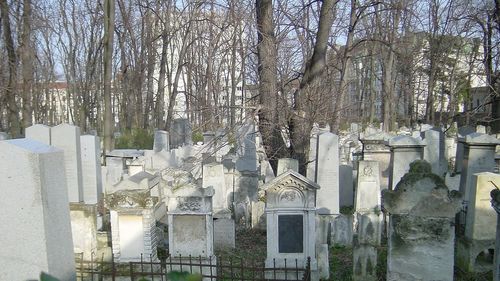 Incendiu și svastici desenate pe pereți la cimitirul evreiesc din Viena