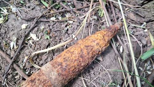 Proiectil găsit în trunchiul unui copac rupt de pe marginea unui drum din Botoșani / Un șofer care a oprit lângă copac a alertat poliția