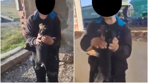 INTERVIU EXCLUSIV | De unde începe violența față de animale. Copiii, cei mai expuși riscului de paralizie emoțională, avertizează psihologii: „Nu mai au reacție la suferință și ajung adulți fără empatie”
