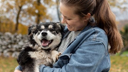 Ce înseamnă să fii foster pentru animale: Bucurii, provocări și lecții de viață de la cei care salvează suflete