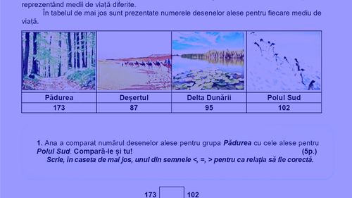 Subiectele de la Evaluarea Națională de clasa a II-a 2025, la Matematică și Explorarea mediului: „Câți pereți vor fi acoperiți cu 24 de desene din Deșert, știind că pe fiecare perete încap câte 6 desene?”