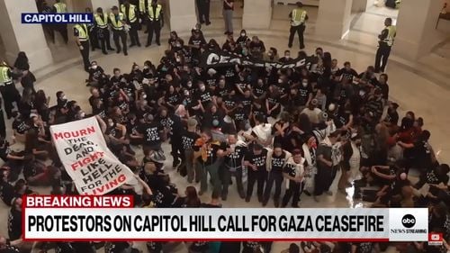 VIDEO Peste 300 de persoane au fost arestate după ce s-au adunat la Capitoliu pentru a protesta faţă de războiul dintre Israel şi Hamas