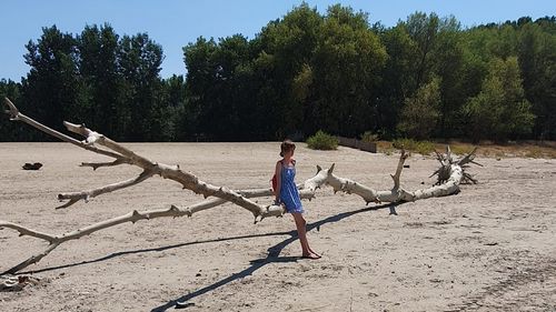 FOTO Alternative pentru litoral: 12 locuri din România cu plaje, apă și tot felul de facilități pentru timpul liber / Descoperă „litoralul vestului”, „marea secuiască”, „litoralul oltenesc”, „marea de la munte” și alte destinații potrivite pentru sezonul estival