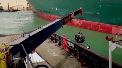 Celulă de criză la ANSVSA pentru gestionarea navelor cu animale care au rămas blocate în Canalul Suez