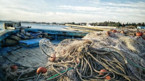 Aproape un kilometru de plase monofilament și peste 200 de kg de pește, depistate pe lacul Razim