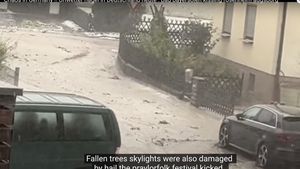 VIDEO Furtuni violente însoţite de grindină au produs pagube majore într-un oraș din sudul Germaniei, fiind declarată stare de dezastru
