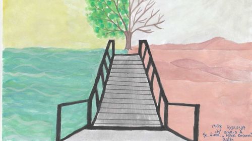 Combaterea schimbărilor climatice prin Educație, o idee transformată în cursuri gratuite de 12 profesori români și 24 străini