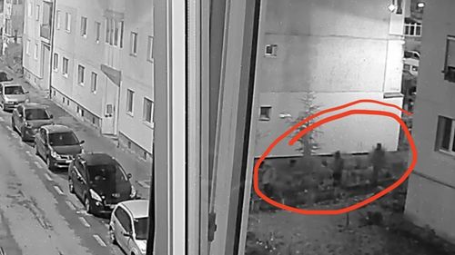 OFICIAL: Au fost identificați cei trei bărbați care l-ar fi ucis pe omul de afaceri sibian Adrian Kreiner / Sunt din Dolj și cel mai probabil deja au părăsit țara