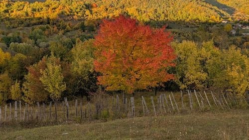 Vremea se va încălzi treptat în această săptămână. Cel mai cald va fi în Banat / Prognoza meteo pe regiuni în următoarele două săptămâni