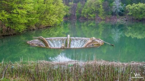 Lacul Vida din Bihor, salvat printr-o investiție europeană / Era colmatat în proporție de 80% / S-au scos de aici 15 mii de camioane de mâl