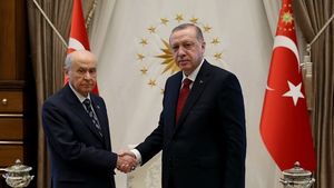 Alegeri anticipate în Turcia. Peste 66 de zile Erdogan devine sultan?