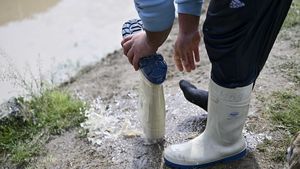 Cod galben de inundaţii pe râuri de pe raza a trei judeţe, până duminică dimineaţa