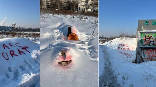 FOTO VIDEO Protest la Parcul IOR: „Parc furat”, scris cu suc de sfeclă pe zăpadă și turnat peste trunchiurile de copaci tăiați ilegal