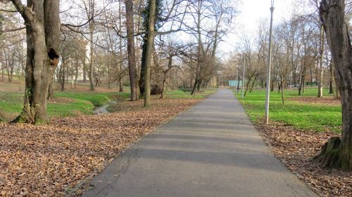 Finanțare europeană de peste 21 de milioane de lei pentru amenajarea unui nou parc în Alba Iulia, în suprafaţă de opt hectare