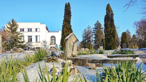 Record de vizitatori anul trecut pentru grădina botanică din Cluj: un sfert de milion / În vârful de sezon au ajuns 5.000 de vizitatori într-o zi