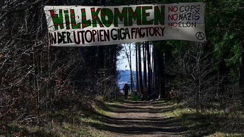 Aproximativ 500.000 de copaci au fost tăiați la amplasamentul fabricii Tesla de lângă Berlin