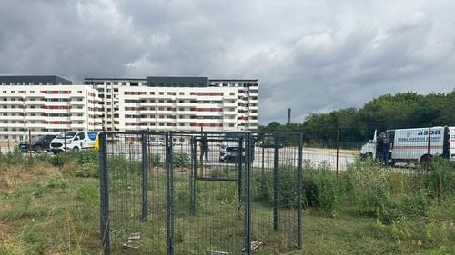 Metodă nouă de capturare a câinilor fără stăpân: Țarc-capcană monitorizat de ASPA (FOTO)