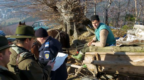 Marele jaf din păduri, încurajat de Guvern. Custozii care administrau ariile protejate au rămas fără puteri şi a început deja furtul de lemne. Statul a preluat activitatea lor cu instituții fără buget și nefuncționale