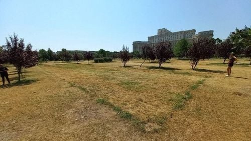 Controversa Parcului Izvor: PMB infirmă zvonurile privind implementarea proiectului ONG-ului ”Alianța pentru pădure”