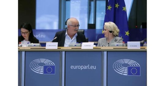 România, sub lupa Parlamentului European: Statul de drept, dezbătut luni în comisia pentru libertăți civile și justiție, iar miercuri în plenul legislativului comunitar. Cum a încercat Dăncilă, fără succes, să îndulcească tonul Bruxelles-ului