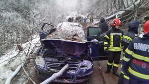 Adolescent de 14 ani mort după ce un copac a căzut peste maşina în care se afla, în Caraș-Severin