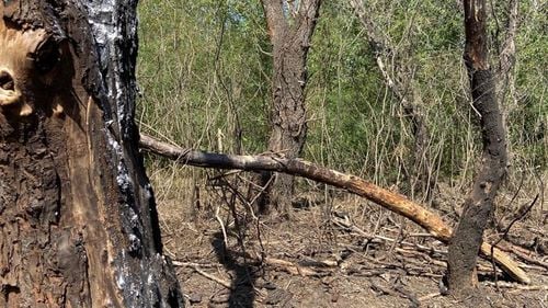 FOTO și VIDEO Cum arată locul unde ar fi căzut drona ale cărei rămășițe au fost descoperite miercuri în România