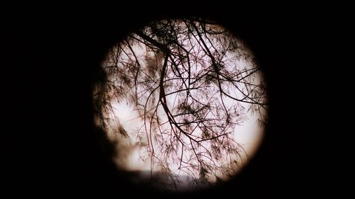 Soldații ruși care se răzvrătesc, cei prinși că au băut alcool sau cei care încearcă să plece de pe front sunt închiși în gropi acoperite cu grilaj metalic, transmite ministerul britanic al Apărării