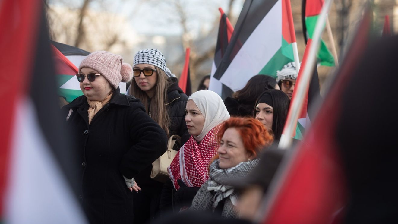 O nouă manifestație pro-Palestina în București / Manifestanții au avut tobe şi fluiere, iar alţii au afişat pancarte cu mesaje în limbile română şi engleză