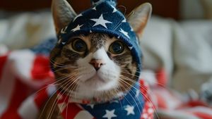 Pisicile cuceresc America: Ce arată un studiu recent despre animalele de companie