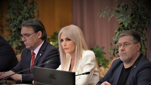 Comisia juridică din Camera Deputaților a început dezbaterile pe tema pragului privind abuzul în serviciu  / Până marţi, la ora 13,00, se vor depune amendamente