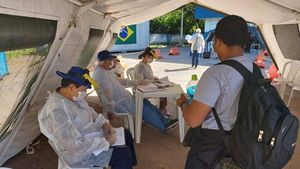 În Brazilia au fost depistaţi doi pacienți infectați simultan cu două variante de virus