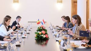 Miniștrii de externe din România și Olanda au discutat la București despre pregătirea viitorului summit NATO de la Washington, în condițiile în care președintele Iohannis e contracandidatul premierului olandez Mark Rutte la șefia organizației nord-atlantice