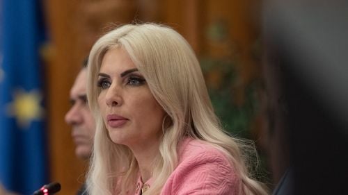 DOCUMENT Procurorii DIICOT o acuză pe Laura Vicol că ar fi contribuit la delapidarea a 49 milioane de lei / Cum ar fi spălat banii din tranzacțiile imobiliare ale grupului Nordis