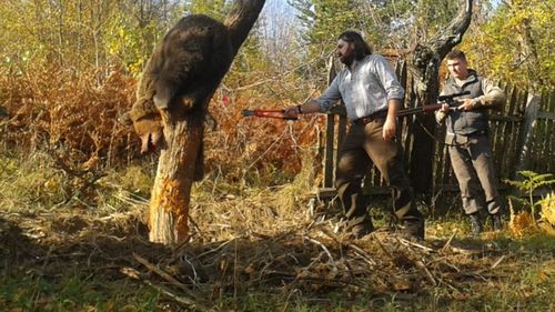 Urșii au ucis doi oameni și au atacat 32 în ultimii doi ani / Autoritățile nu mai țin evidența populațiilor de urs de șase ani, braconajul luând amploare