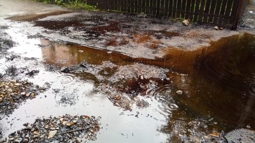 Ploile torențiale pun probleme în Prahova. Copii luați de viitură, poluare cu păcură și trenuri blocate